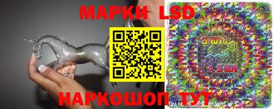 стаф Канаш